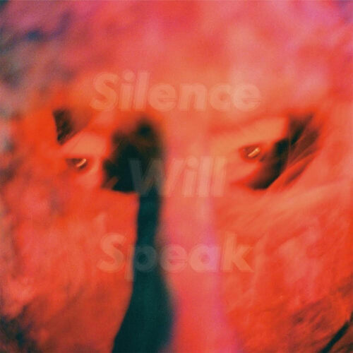 SILENCE WILL SPEAK